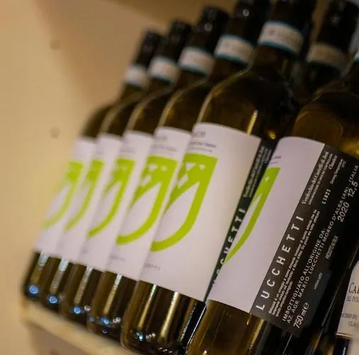 莫罗贝洛酒店 酒店 3*